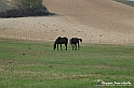VBS_7540 - Andare lontano, oltre i campi da arare... e ancora più in là